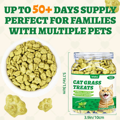 Wellix 13.05oz Cat Grass Treats with Catnip & Salmon - Healthy Cat Cats - Hairball Control & Digestive Support - Kittens Training Snacks for Teeth Cleaning